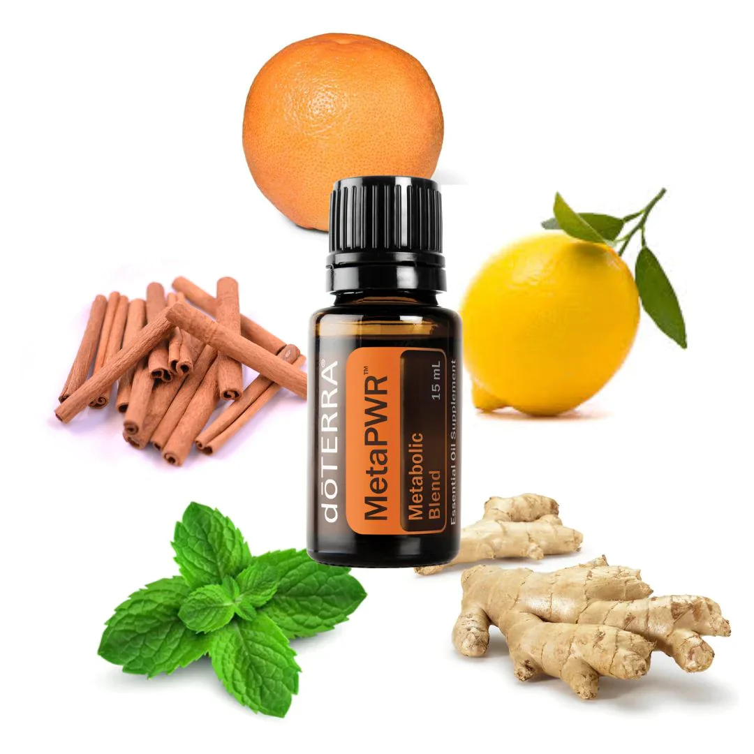 MetaPWR ingredients