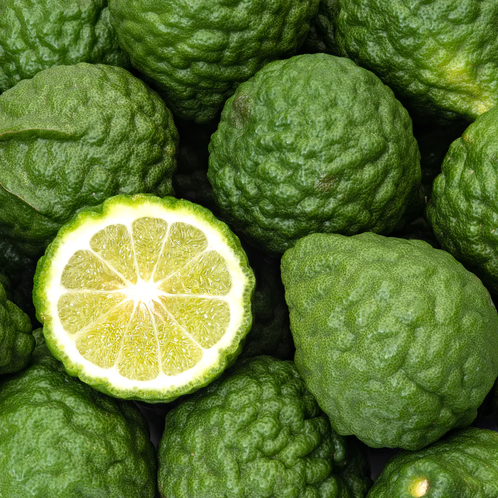 Bergamot plant