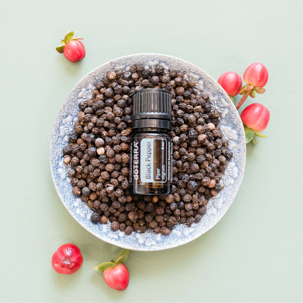 Black Pepper plant