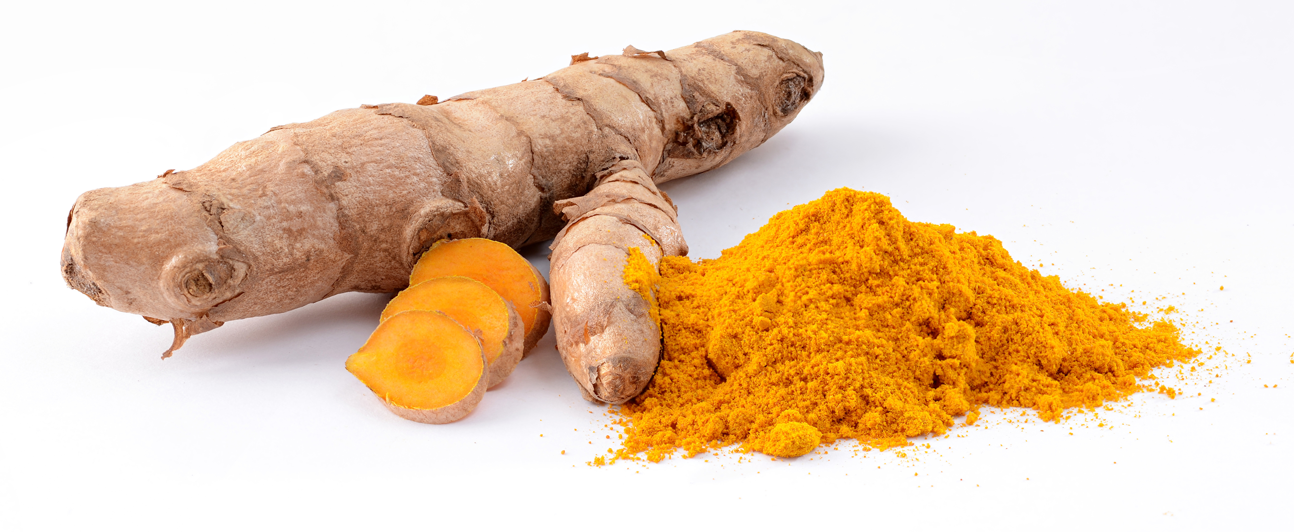 Turmeric plant
